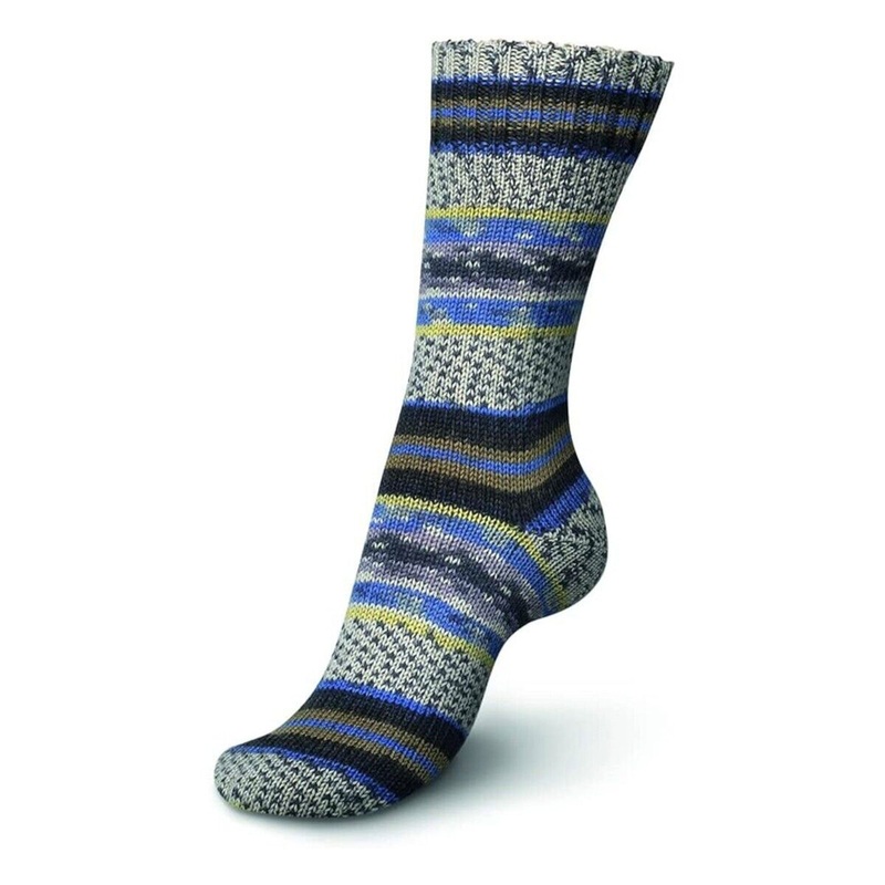 REGIA Design Line by Arne & Carlos – 100g Yarn – 2460 Bamble Color