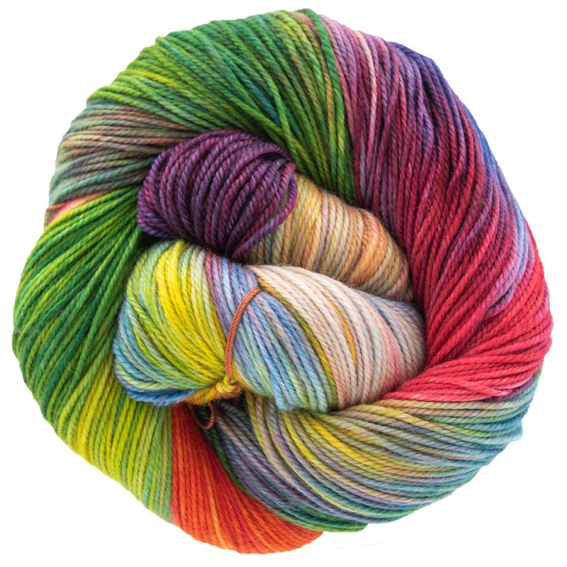 Dream in Color Smooshy Yarn – Anything Goes