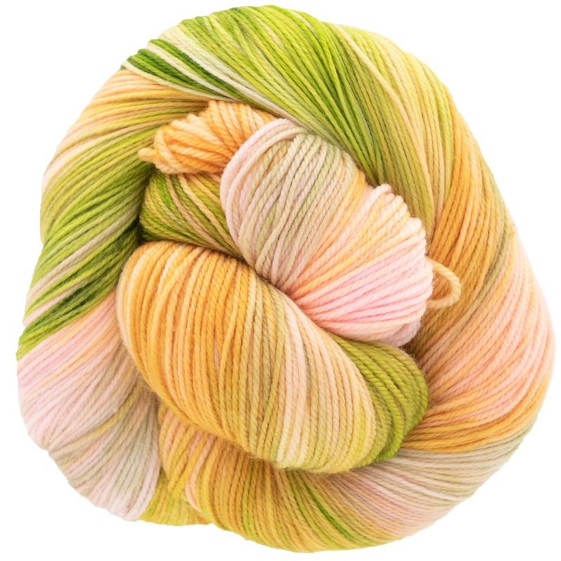 Dream in Color Smooshy Yarn – Guava Nice Day