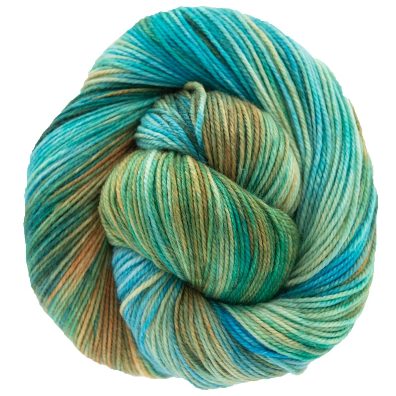 Dream in Color Smooshy Yarn – Shuyler Lake