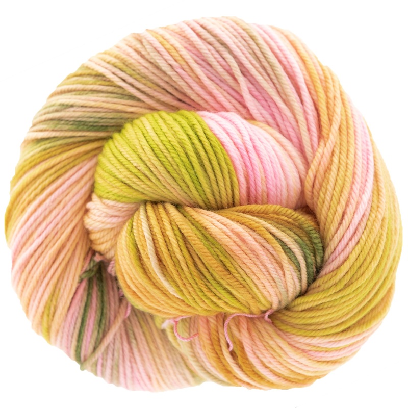 Dream in Color Classy Yarn – Guava Nice Day