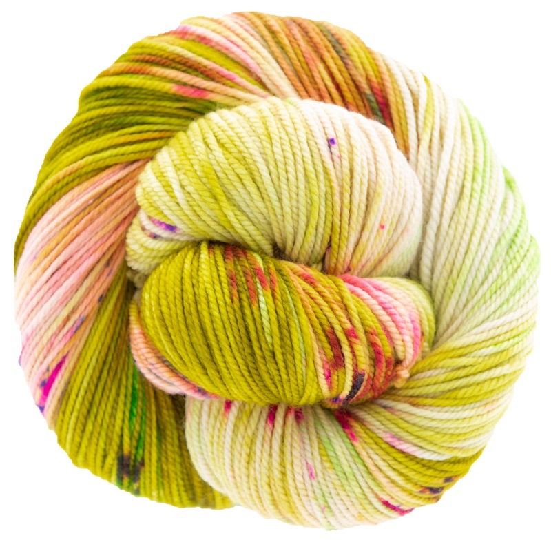 Dream in Color Cosette Yarn – Alive