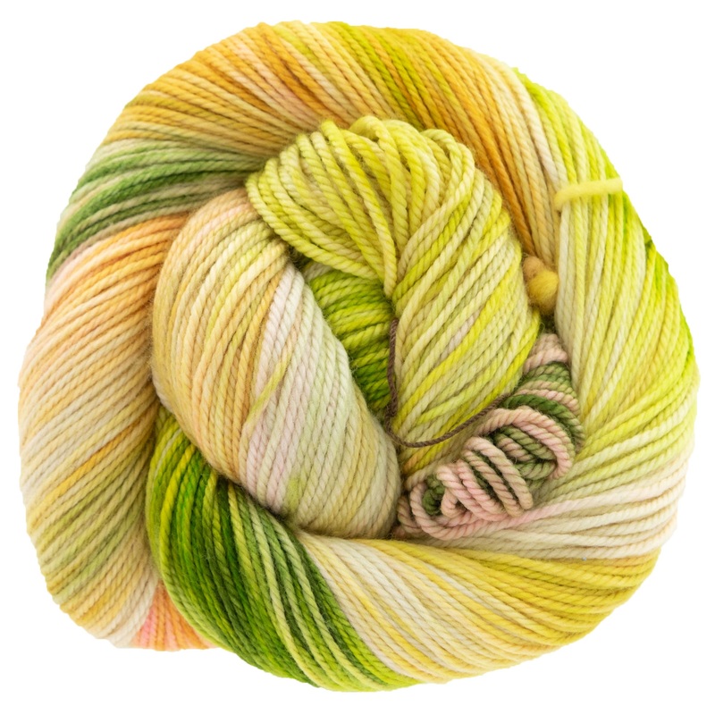 Dream in Color Cosette Yarn – Guava Nice Day