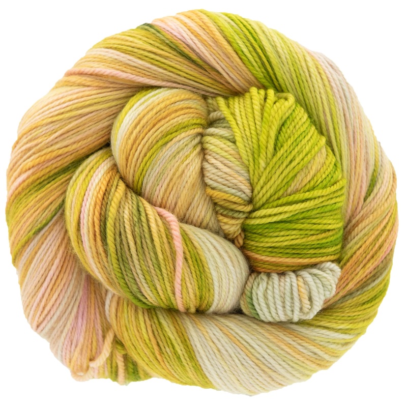 Dream in Color Smooshy Cashmere Yarn – Guava Nice Day