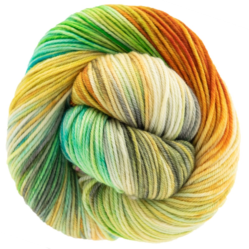 Dream in Color Classy Yarn – Farmers Market