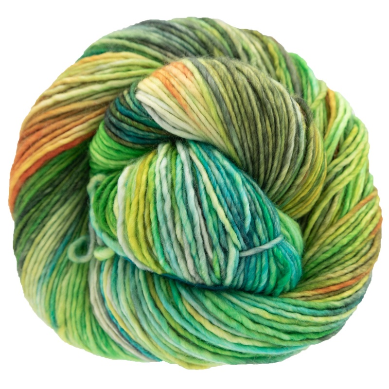 Dream in Color Riley Yarn – Farmers Market
