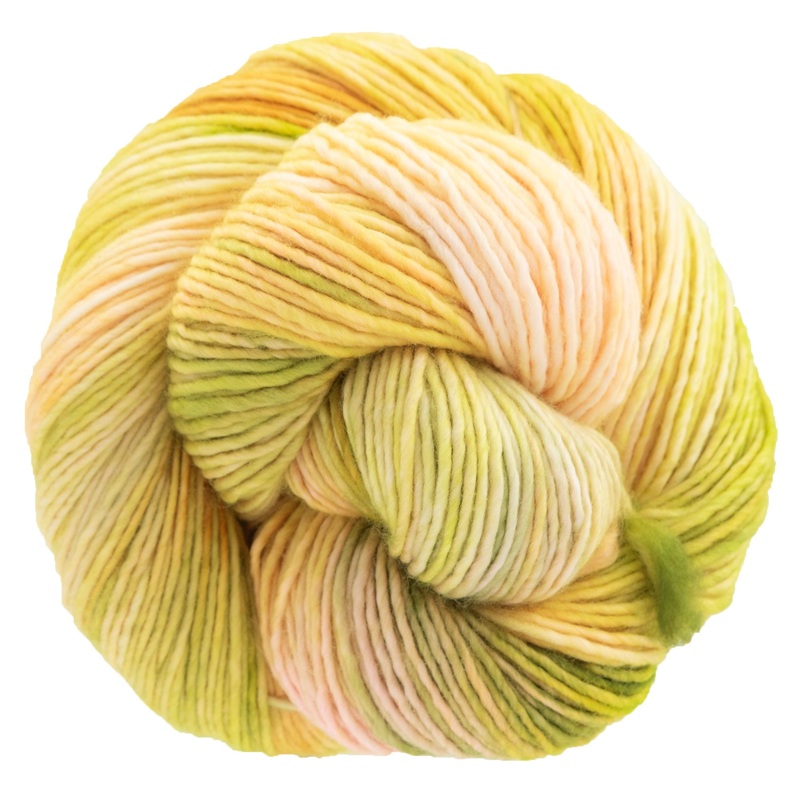 Dream in Color Riley Yarn – Guava Nice Day 759