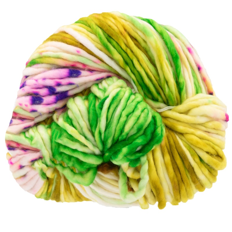 Dream in Color Savvy Yarn – Alive