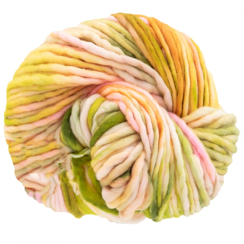 Dream in Color Savvy Yarn – Guava Nice Day