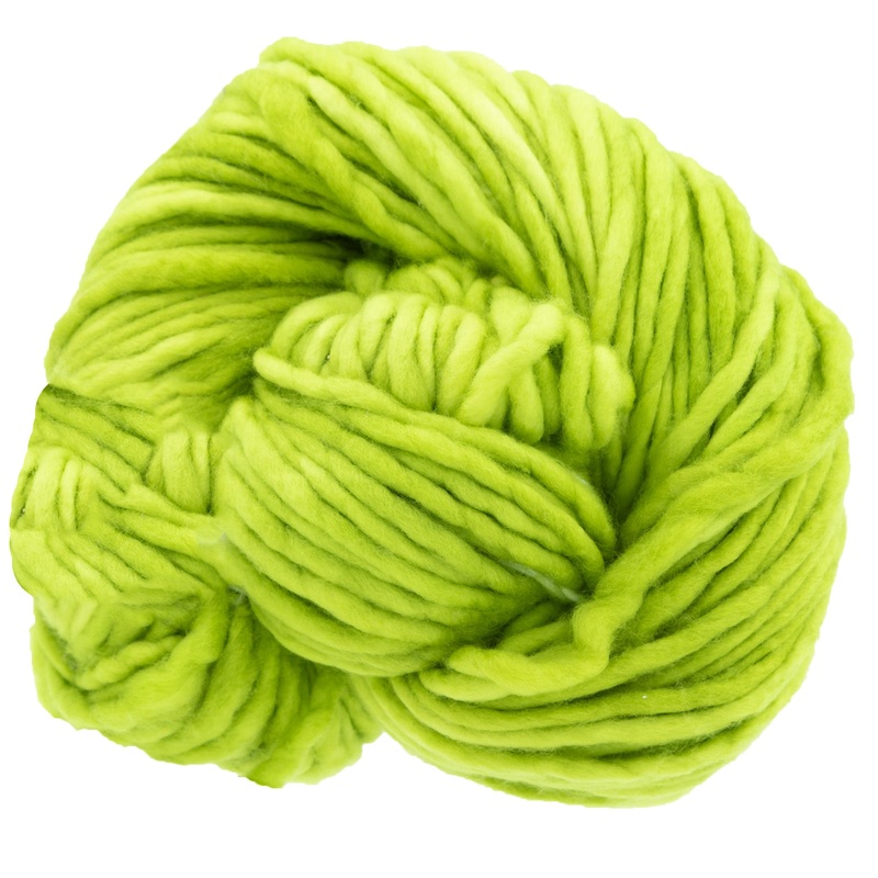 Dream in Color Savvy Yarn – Prickly Pear
