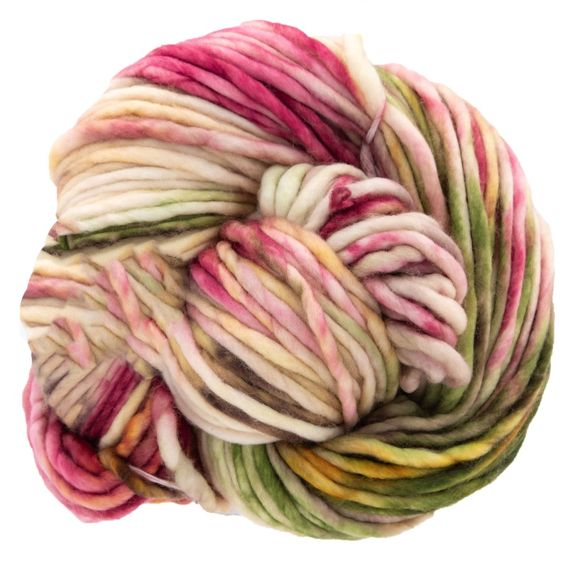 Dream in Color Savvy Yarn – Rose and Jack