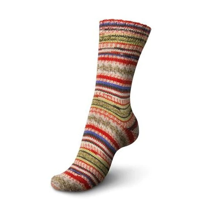 REGIA Design Line by Arne & Carlos – 100g Yarn – 3880 Roest Color