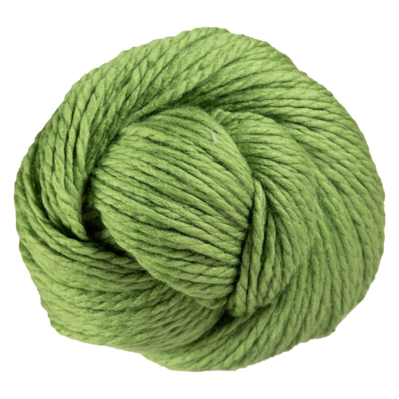 Cascade Yarns 128 Superwash Yarn – 841 Moss