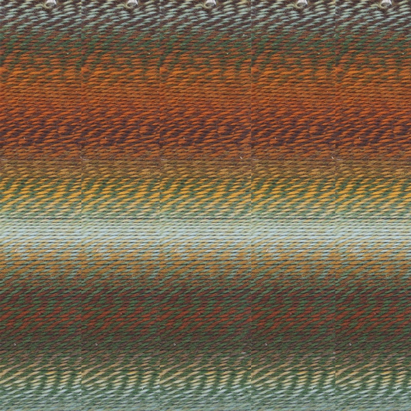 Schoppel Wolle Zauberball Crazy Yarn – 1660