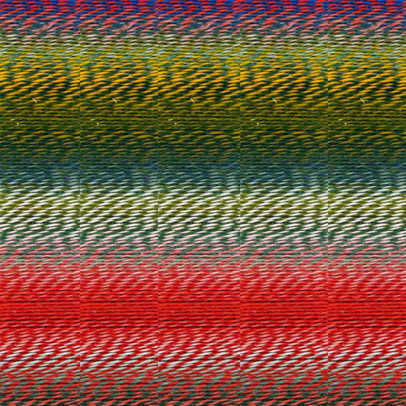 Schoppel Wolle Zauberball Crazy Yarn – 1701