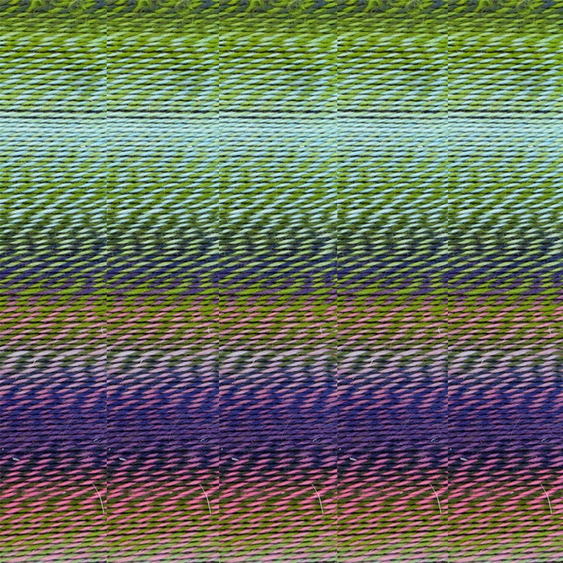 Schoppel Wolle Zauberball Crazy Yarn – 2170