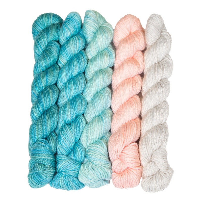 SweetGeorgia Tough Love Sock Party of Five Mini-Skein Set Yarn – Seashore