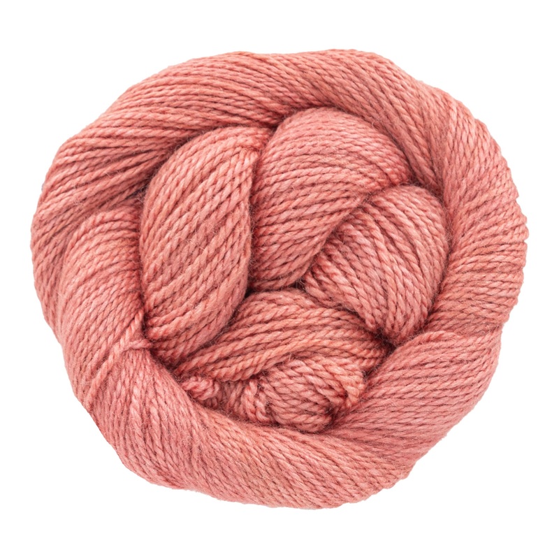 Dream in Color Field Collection: Suzette Yarn – Fortune Teller