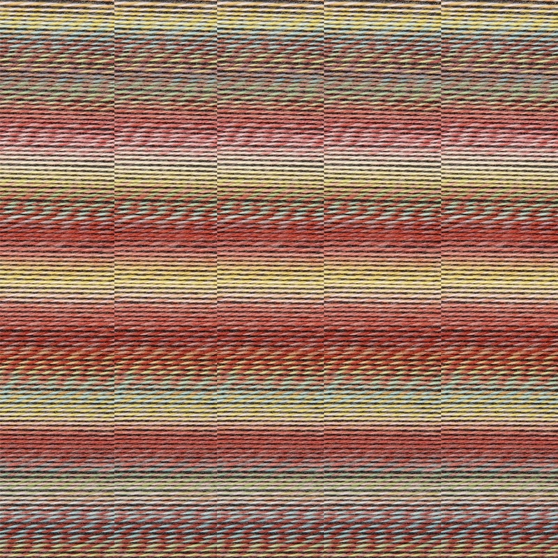 Schoppel Wolle Zauberball Crazy Yarn – 2545