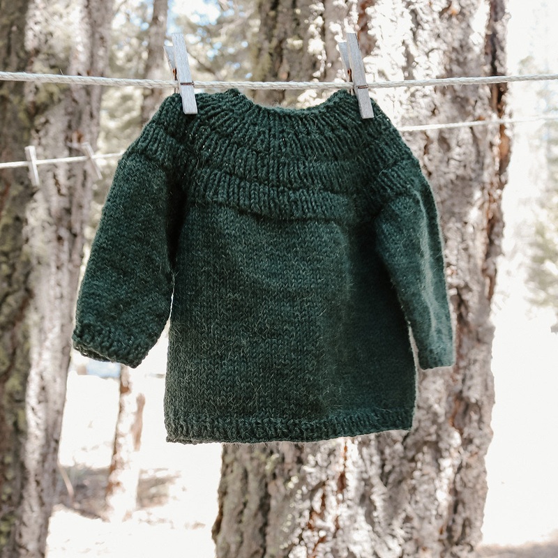 Cassidy’s Harmony DK Anker’s Sweater