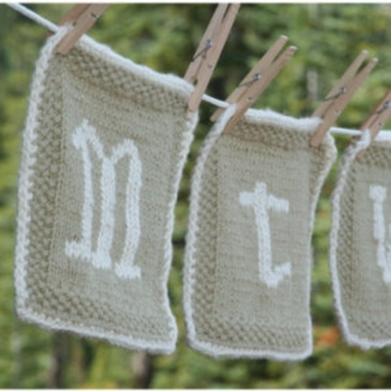 Celebrity Gift Bag Organic Dishcloth