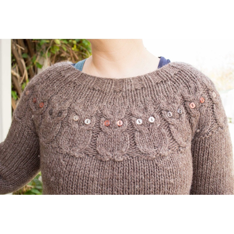 Kristen’s Owl Sweater|Default Title