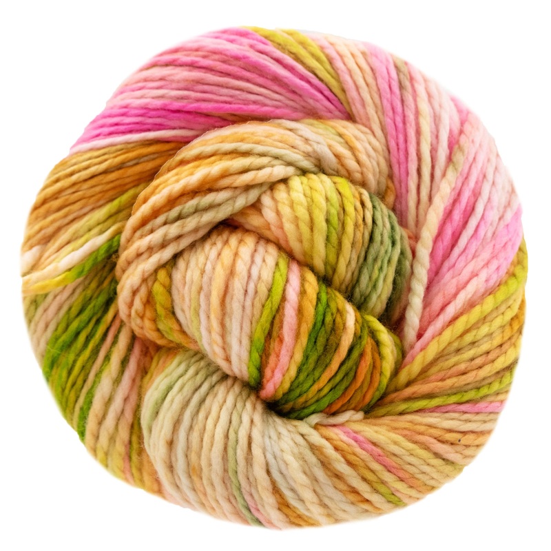 Dream in Color Bumblebee Yarn – Guava Nice Day