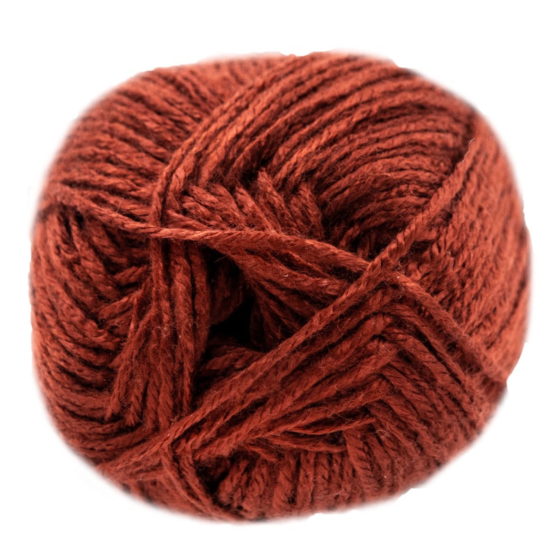 Jimmy Beans Wool Beanstalk Worsted Yarn – 009 Raisin the Bar