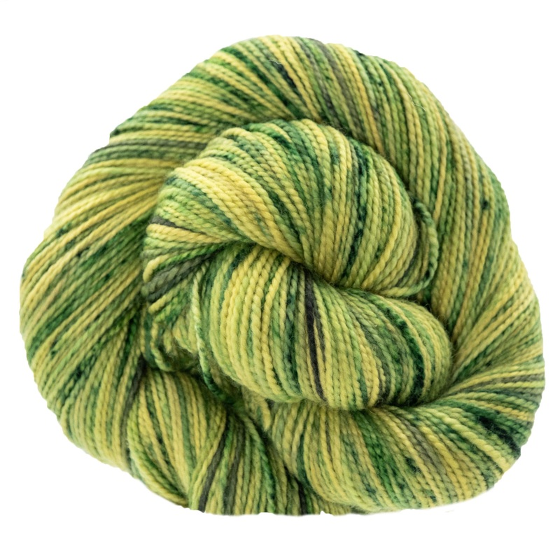 Koigu KPPPM Yarn – ’25 March Collector – Terra Futura