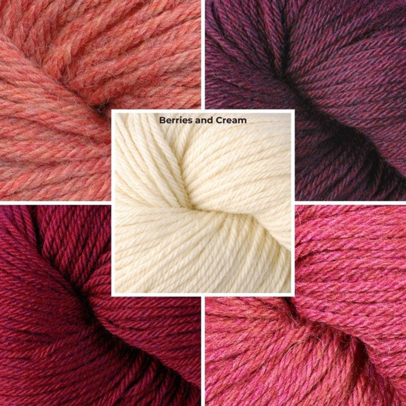 Berroco Year Long Blanket MKAL Kit – Berries & Cream