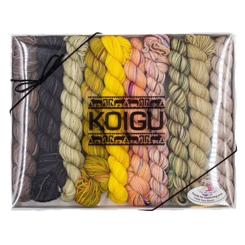 Koigu Pencil Box Yarn – Modernist