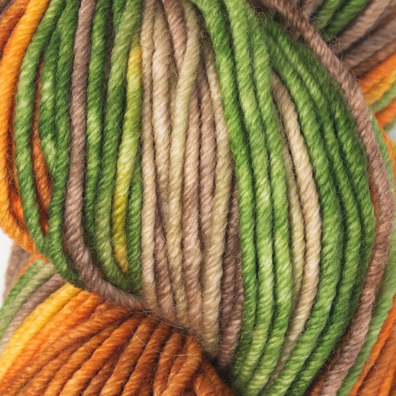 Gusto Wool Echoes Aran Yarn – 5517