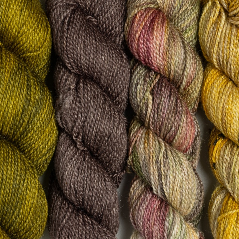 Dream in Color Field Collection: Suzette Meadow Dreams Bundles – Antique Marigold