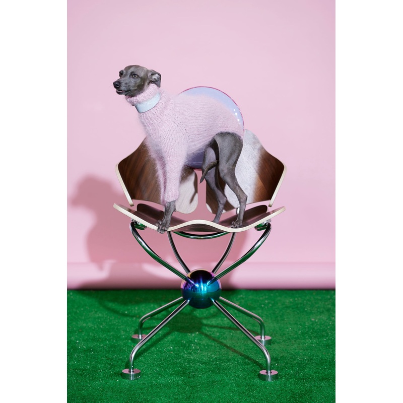 Fat Fur Sighthound|Dansk|Engelsk