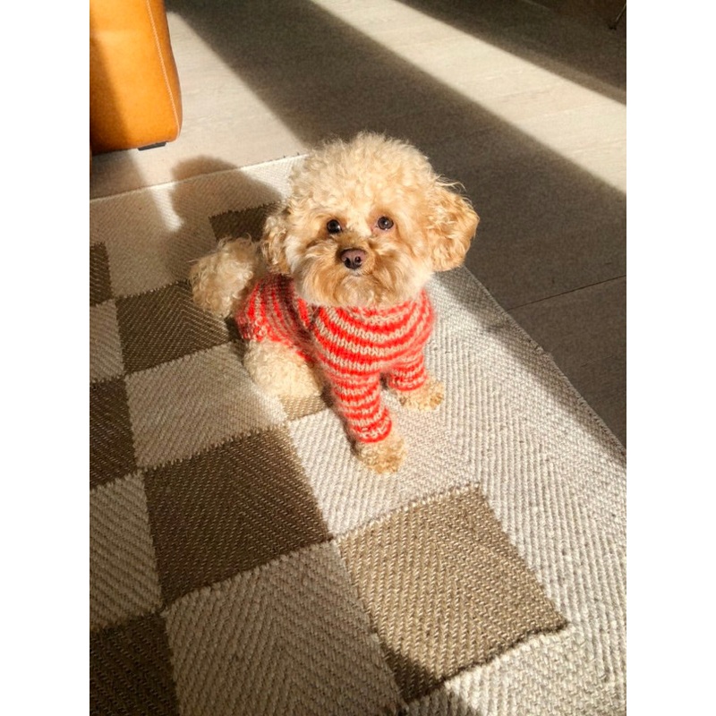 Stripe Overload Dog|Dansk|Engelsk