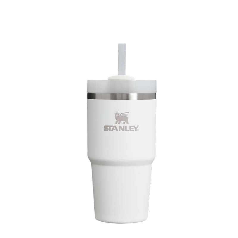 The 20oz Quencher H2.0 FlowState Tumbler in Frost