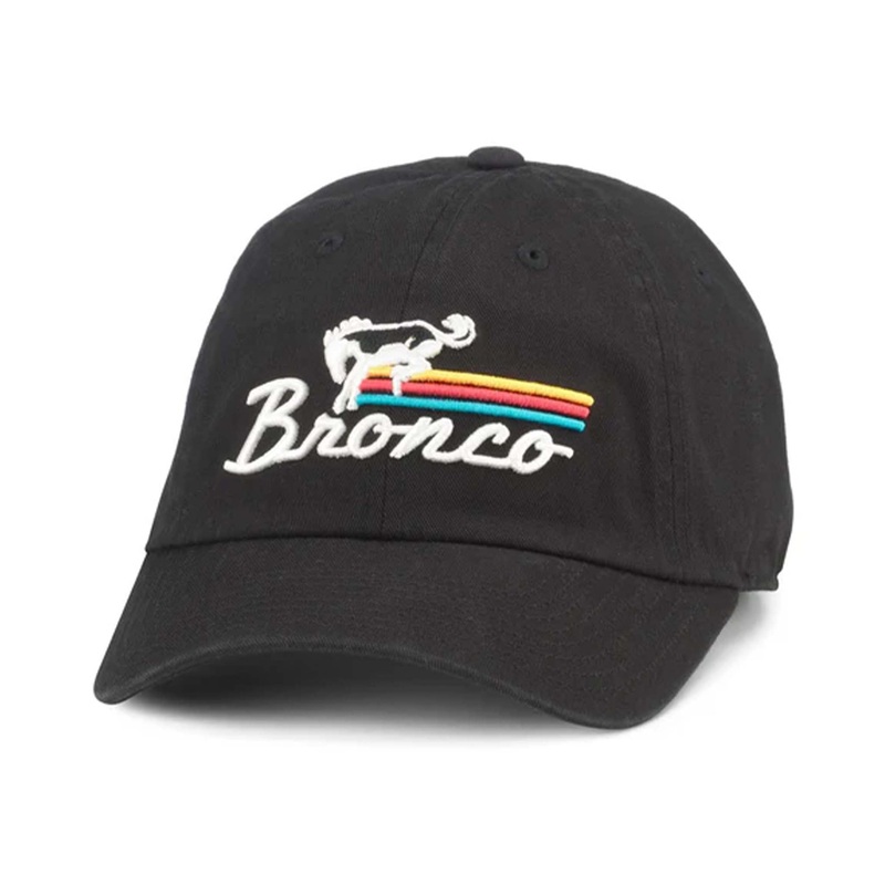Bronco Ballpark Dad Hat|Default Title