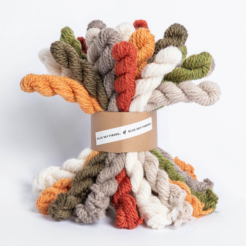 Blue Sky Fibers Woolstok Bundles Yarn – Fall Festival