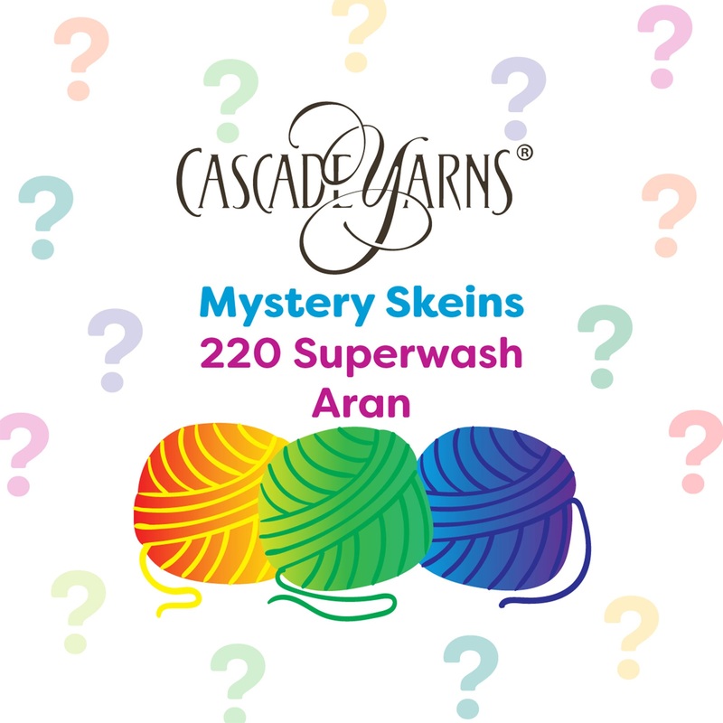 Cascade Yarns 220 Superwash Aran One of a Kind Yarn – Mystery Skein