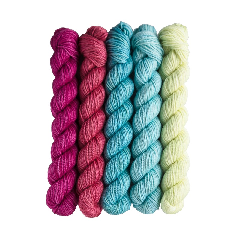 SweetGeorgia Tough Love Sock Party of Five Mini-Skein Set Yarn – Candy Shop