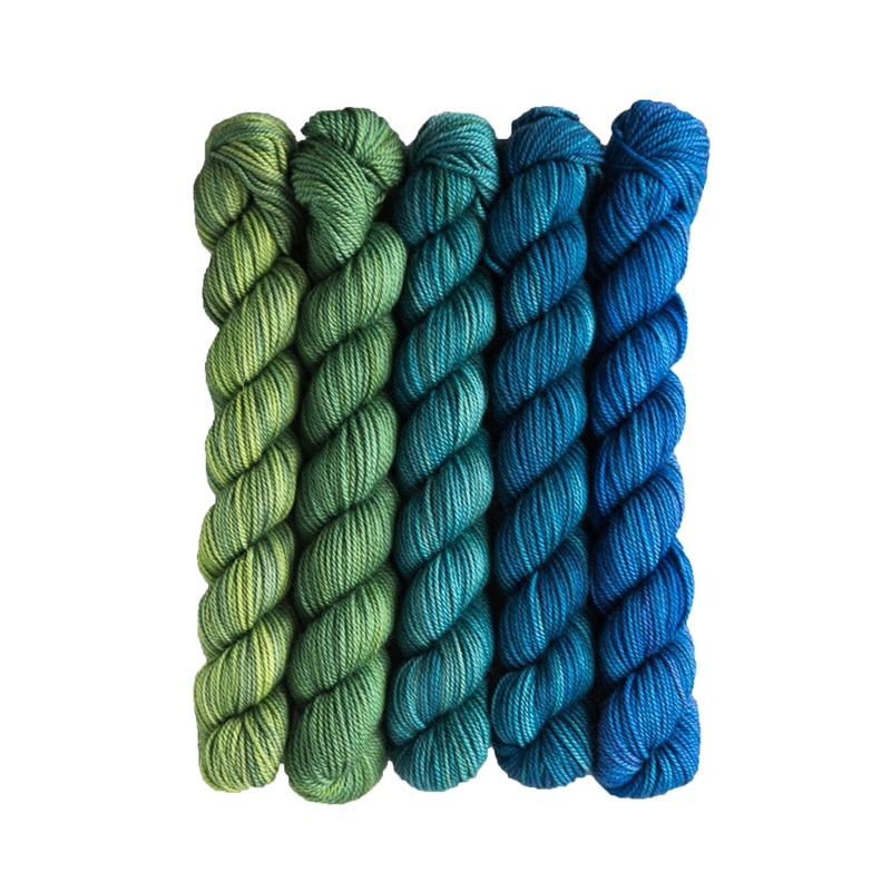 SweetGeorgia Tough Love Sock Party of Five Mini-Skein Set Yarn – Sea to Sky