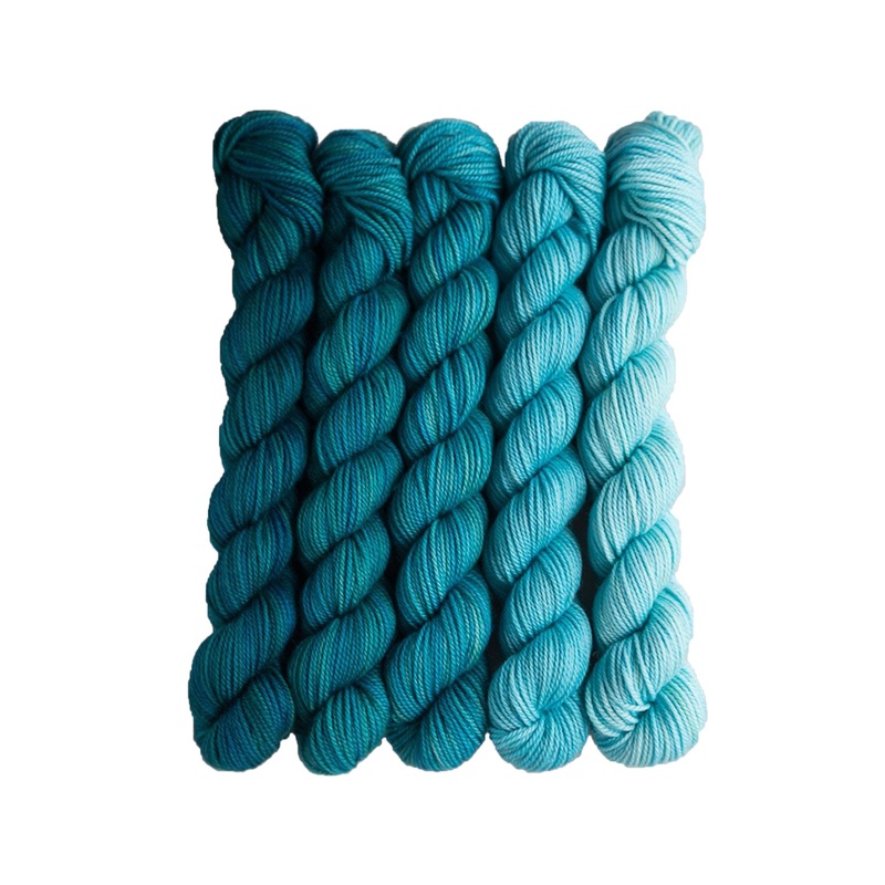 SweetGeorgia Tough Love Sock Party of Five Mini-Skein Set Yarn – Swell