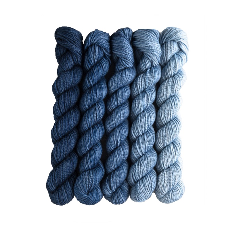 SweetGeorgia Tough Love Sock Party of Five Mini-Skein Set Yarn – Voyage