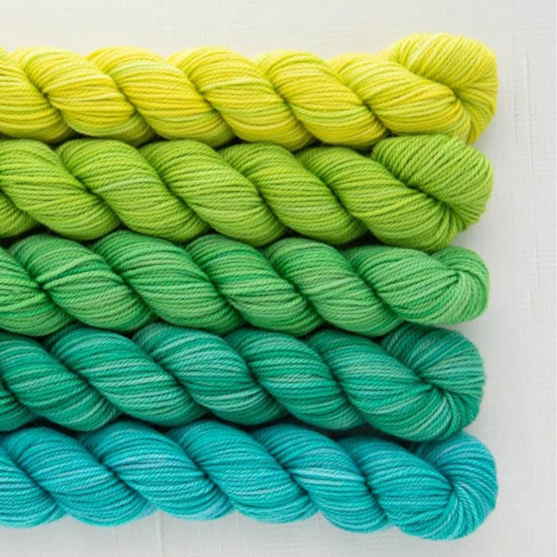 SweetGeorgia Tough Love Sock Party of Five Mini-Skein Set Yarn – Picnic in the Park