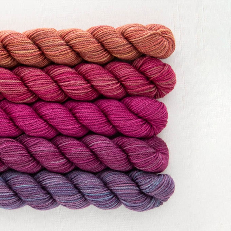 SweetGeorgia Tough Love Sock Party of Five Mini-Skein Set Yarn – Spilling Secrets