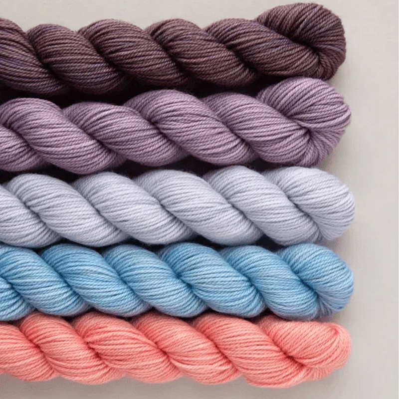 SweetGeorgia Tough Love Sock Party of Five Mini-Skein Set Yarn – Tea Time