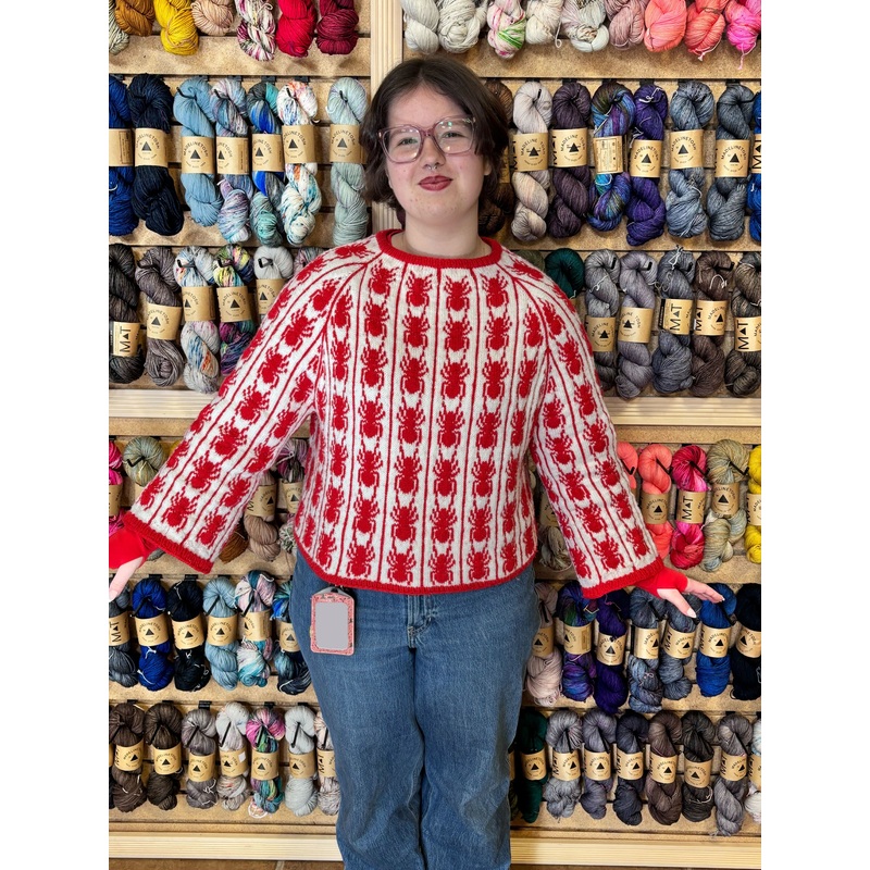Cascade Yarns Ants in a Row Raglan Kit – Orange Ants
