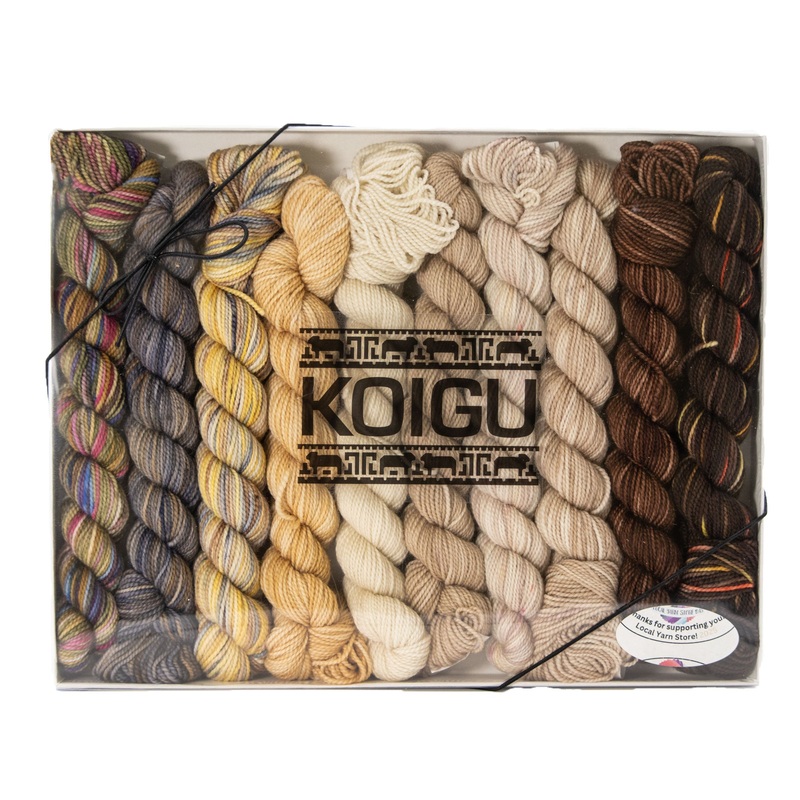 Koigu Pencil Box Yarn – Venation Shawl – Latte