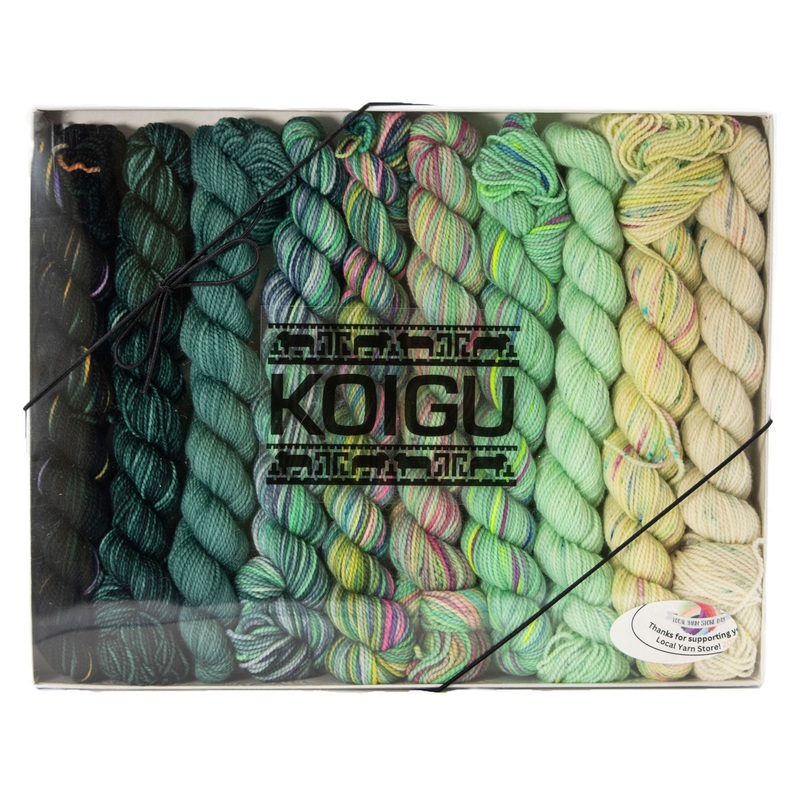 Koigu Pencil Box Yarn – Venation Shawl – Mojito