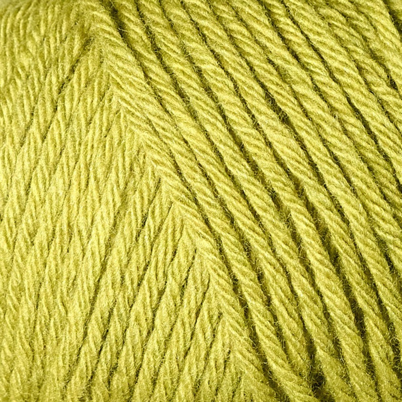 Berroco Renew Yarn – 1368 Grasshopper